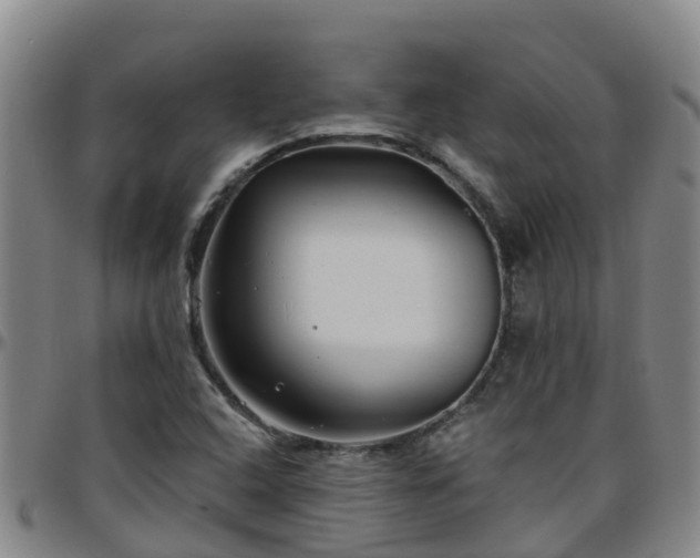 X0000096451408200801311440
