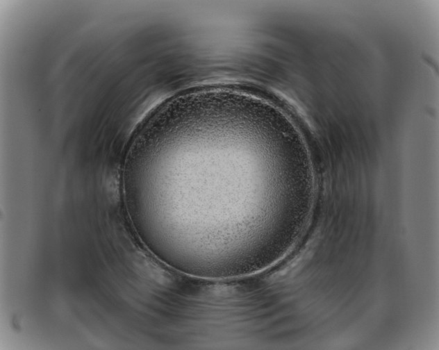 X0000096451409200801311440