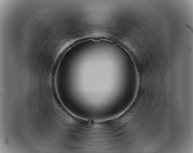 X0000096451412200801311440