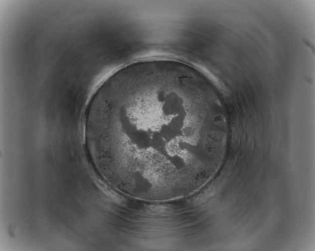X0000096451413200801311440
