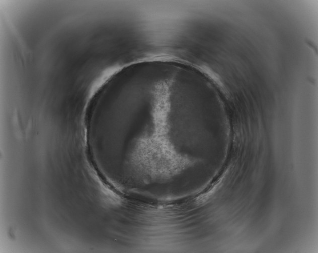 X0000096451414200801311440