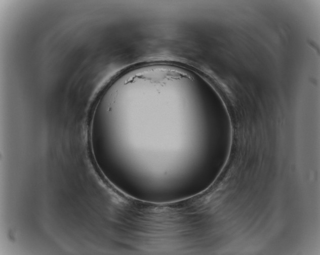 X0000096451416200801311440