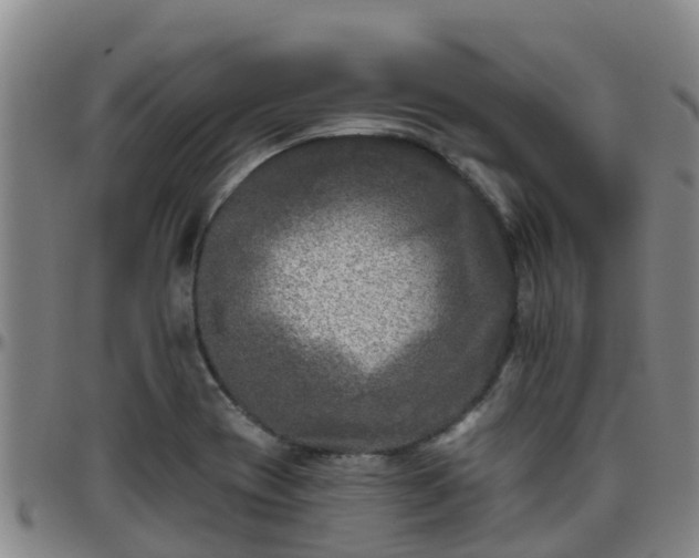 X0000096451417200801311441