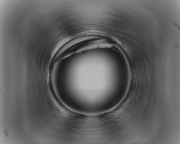 X0000096451418200801311441
