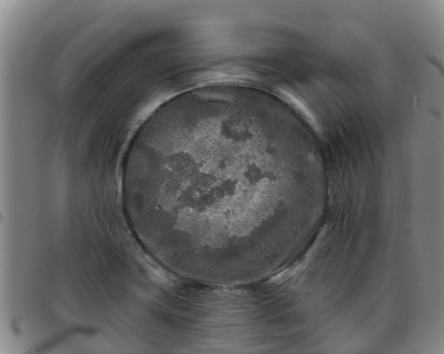 X0000096451419200801311441