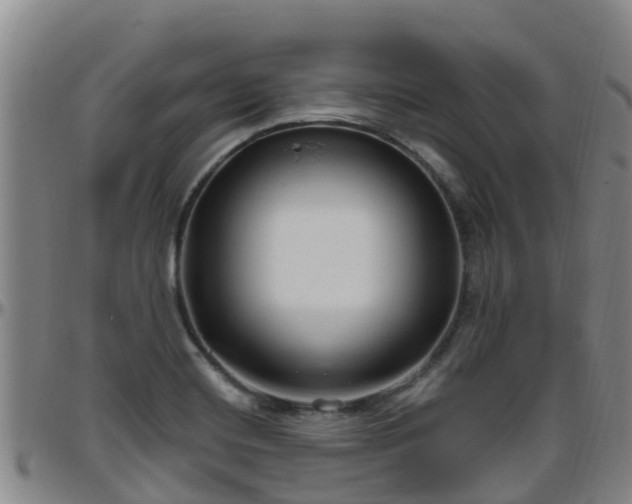 X0000096451420200801311441