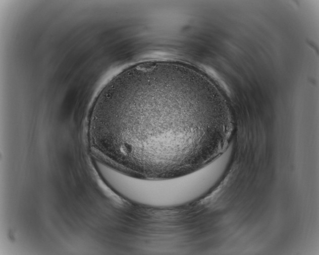 X0000096451421200801311441