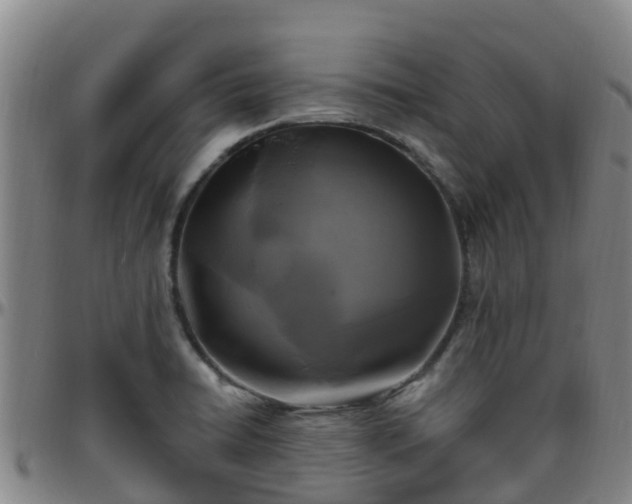 X0000096451422200801311441