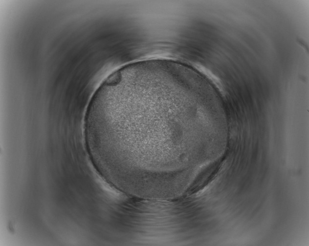 X0000096451423200801311441
