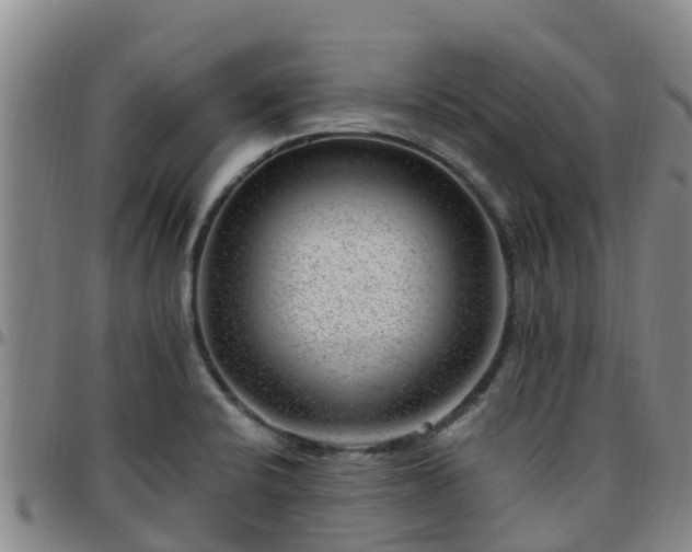 X0000096451424200801311441