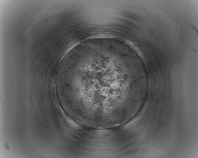 X0000096451425200801311441