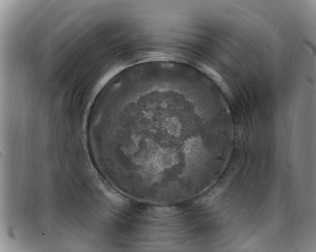 X0000096451427200801311441