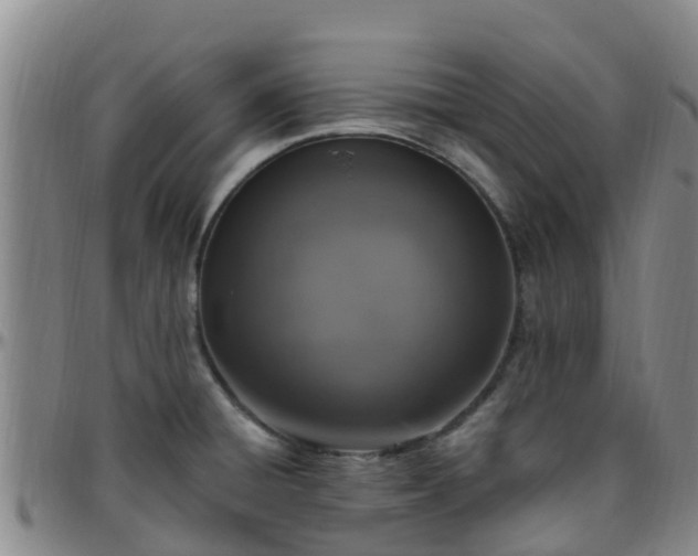 X0000096451428200801311441