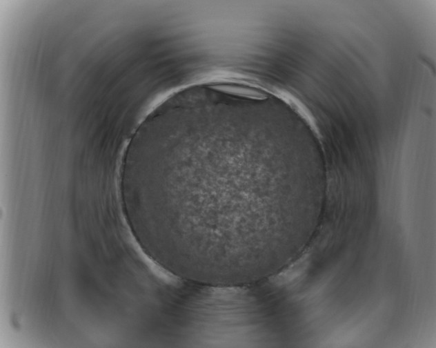 X0000096451429200801311441