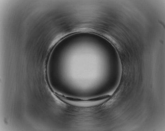 X0000096451430200801311441