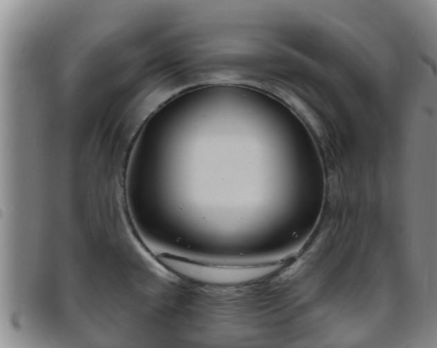 X0000096451432200801311441