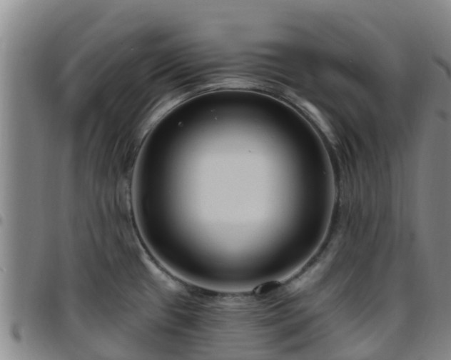 X0000096451433200801311441