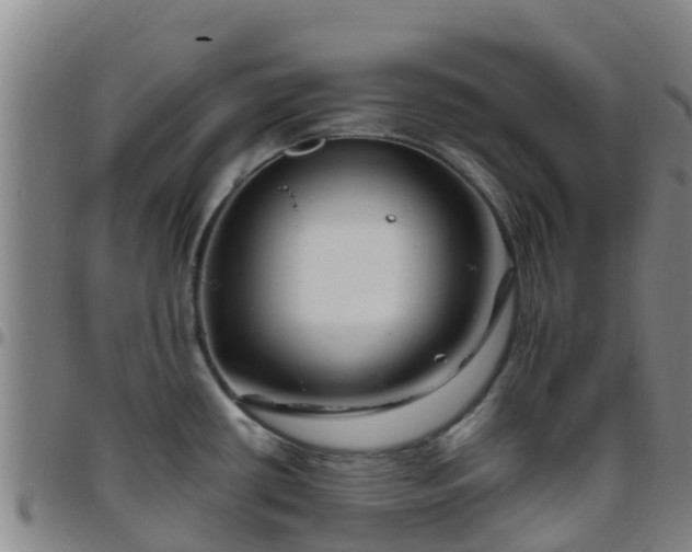 X0000096451434200801311441
