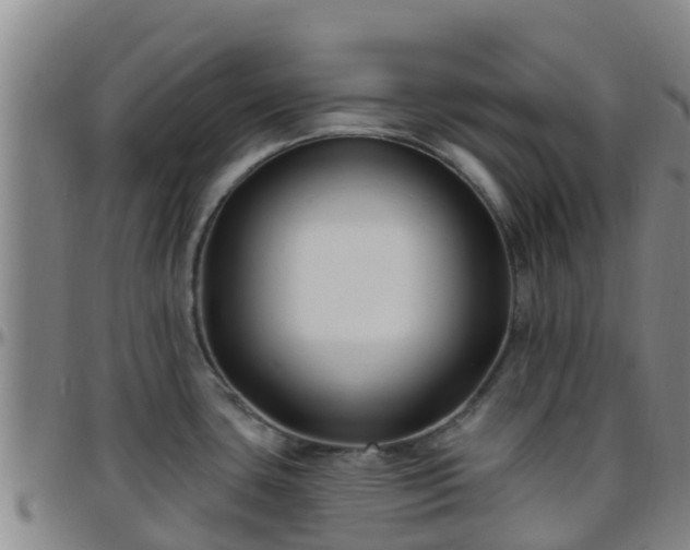 X0000096451435200801311441