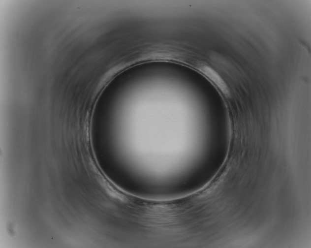X0000096451436200801311441