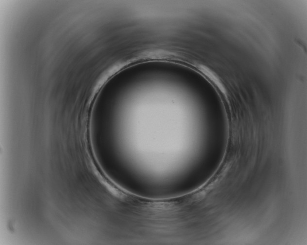 X0000096451437200801311441