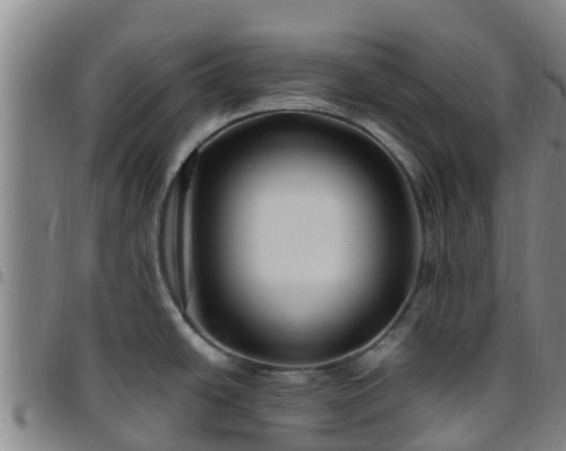 X0000096451438200801311441