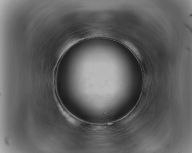 X0000096451439200801311441