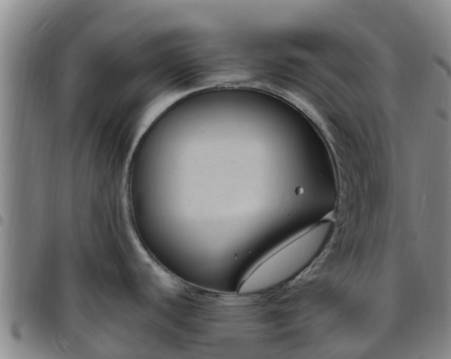 X0000096451440200801311441