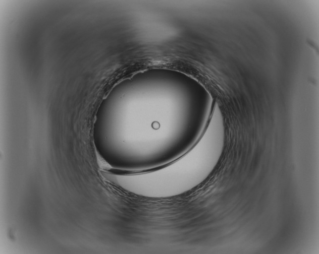 X0000096451441200801311440