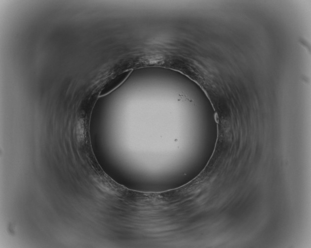 X0000096451442200801311440
