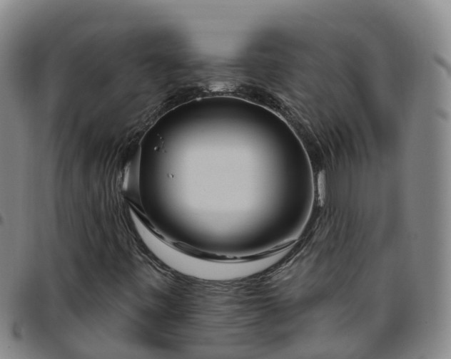 X0000096451443200801311440