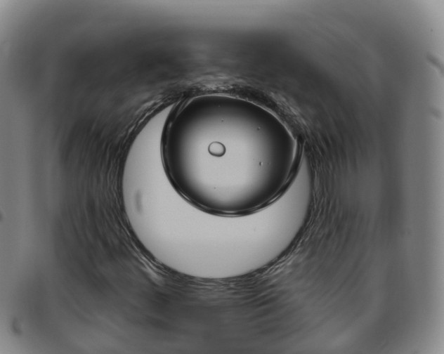 X0000096451444200801311440