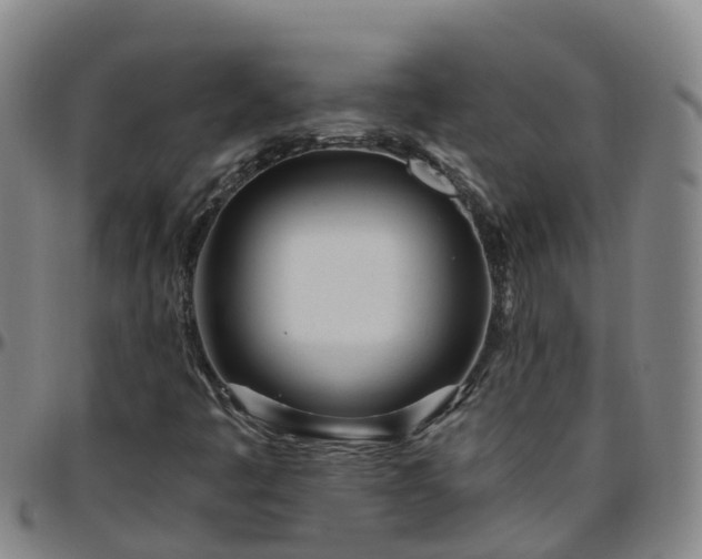 X0000096451445200801311440