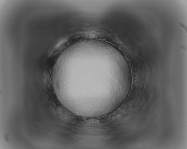 X0000096451446200801311440