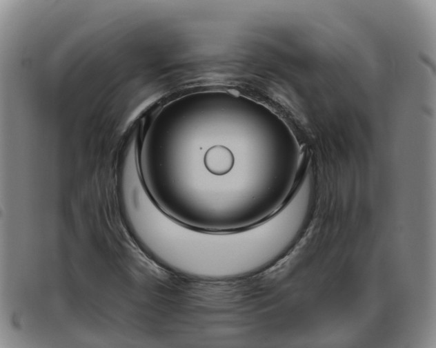 X0000096451450200801311440