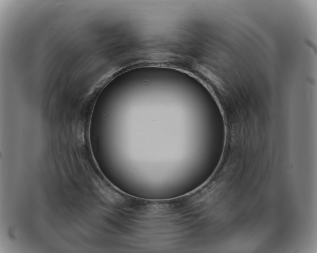 X0000096451451200801311440