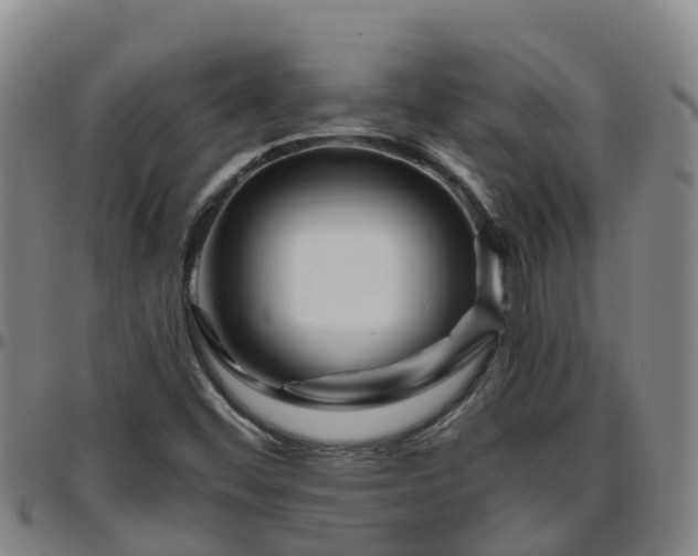 X0000096451452200801311440