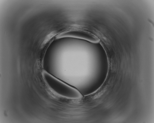 X0000096451453200801311440