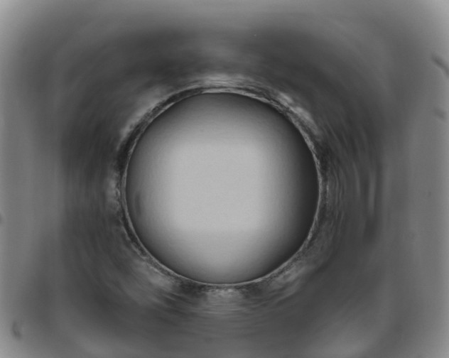 X0000096451454200801311440
