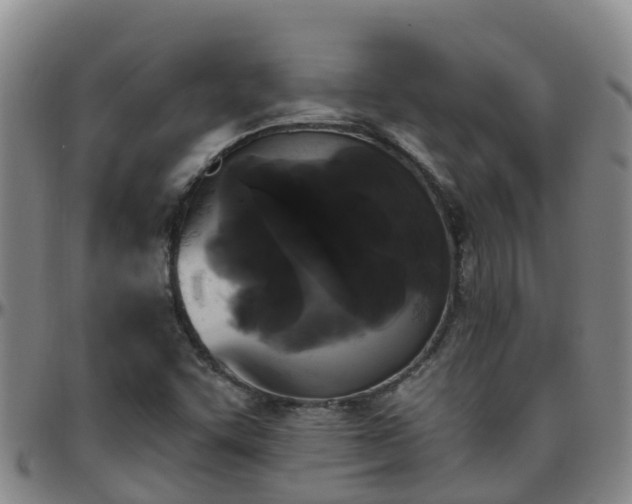 X0000096451455200801311440