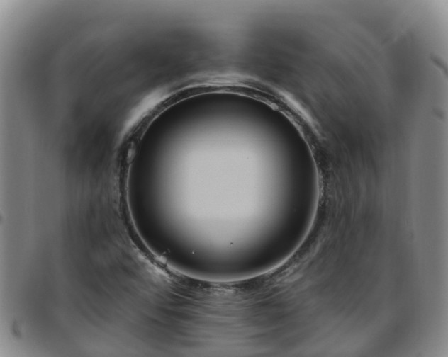 X0000096451456200801311440