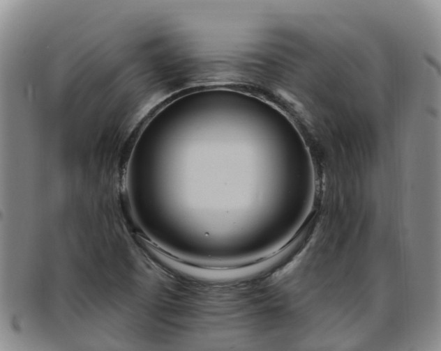X0000096451457200801311440