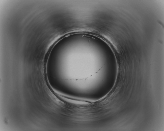 X0000096451460200801311440
