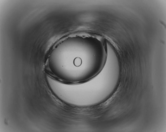 X0000096451461200801311440