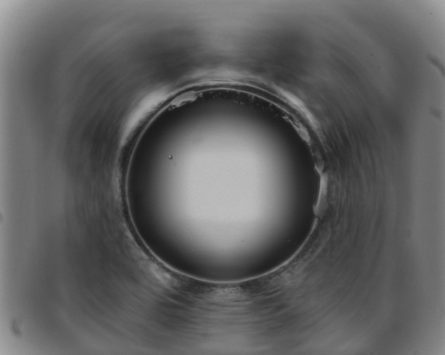 X0000096451464200801311440