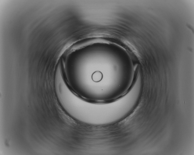 X0000096451465200801311440