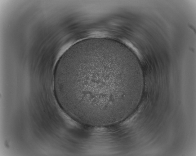 X0000096451467200801311440