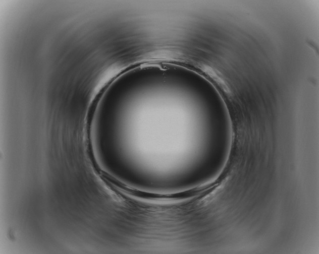 X0000096451469200801311440