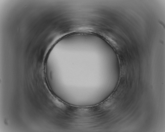 X0000096451470200801311440