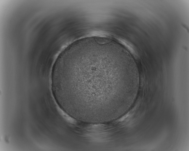 X0000096451471200801311440